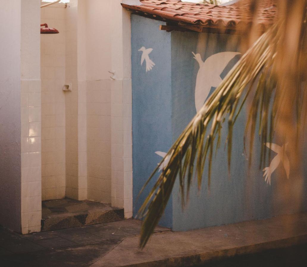 4 Quartos Ao Lado Da Praia Do Patacho Pôrto de Pedras Buitenkant foto